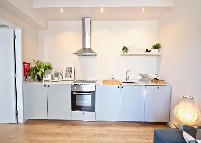 Akicity Real Blueberry